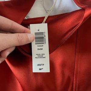 Aritzia satin dusk bustier